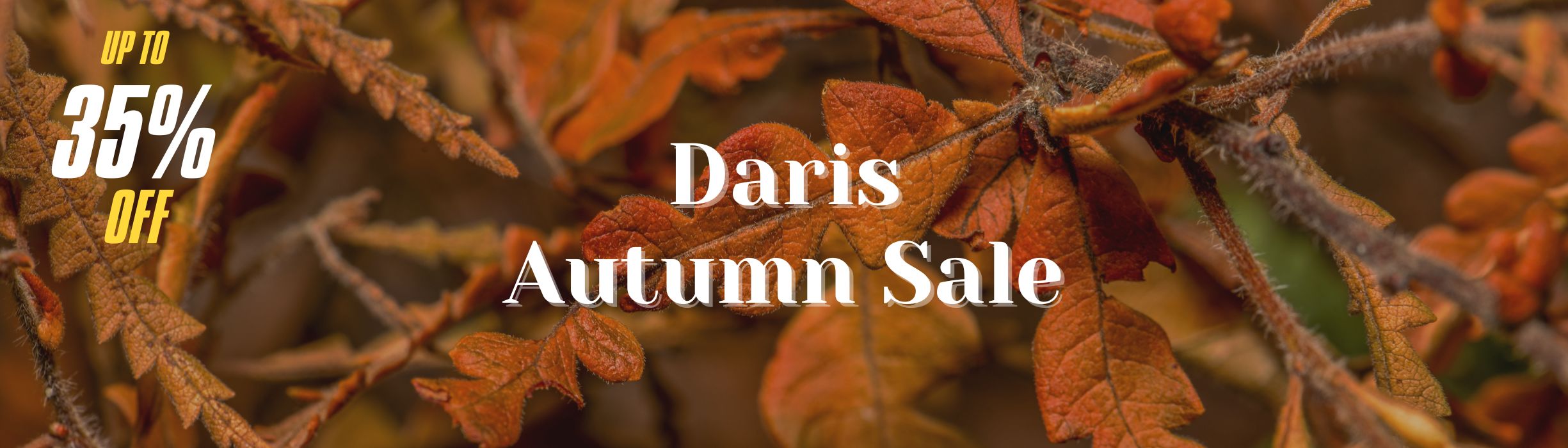 آغاز جشنواره فروش پاییزه داریس